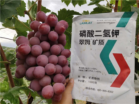 磷酸二氫鉀，拉姆拉，翠姆