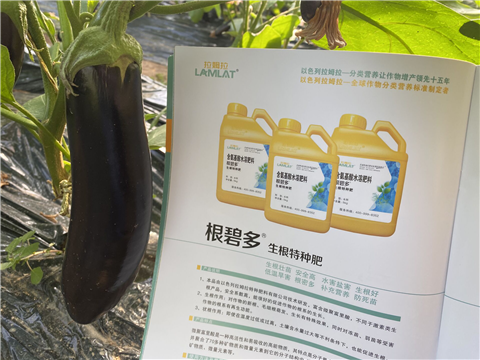 水溶肥，拉姆拉，翠姆