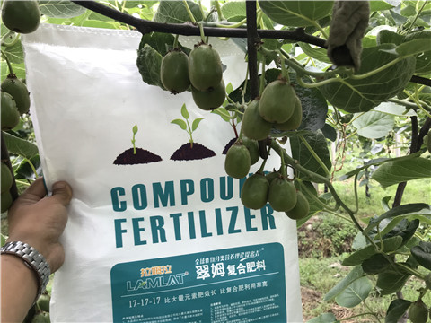 顆粒水溶肥，拉姆拉，翠姆
