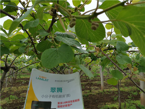 小分子有機碳，拉姆拉，翠姆