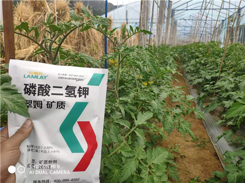 磷酸二氫鉀，拉姆拉，翠姆
