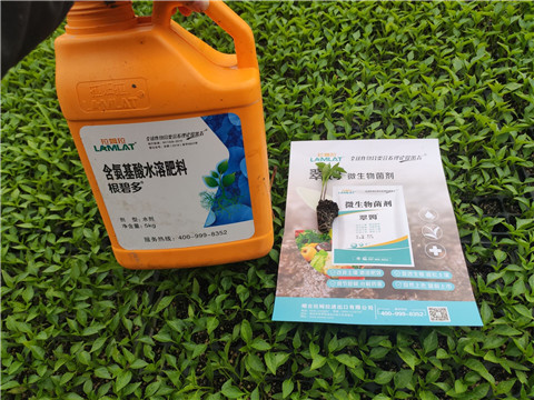 水溶肥，拉姆拉，翠姆