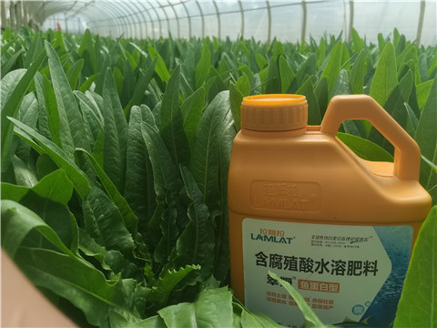 沖施肥，拉姆拉，翠姆