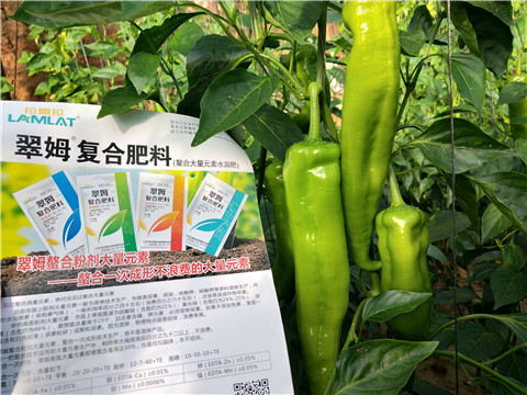 辣椒，拉姆拉，翠姆