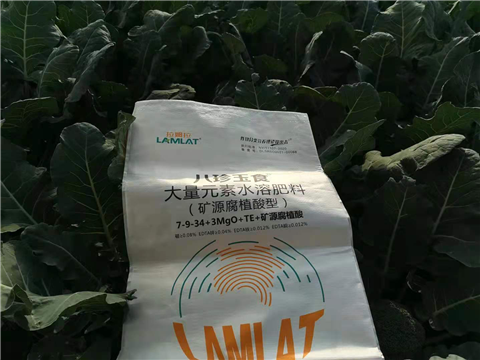 大量元素水溶肥，拉姆拉，翠姆