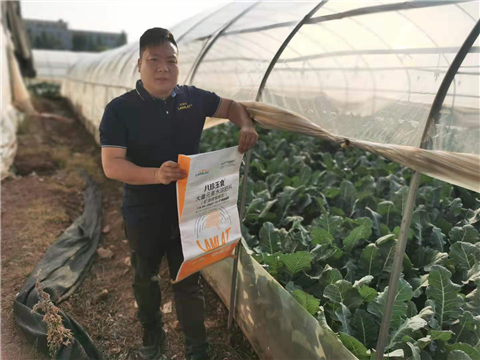 大量元素水溶肥，拉姆拉，翠姆