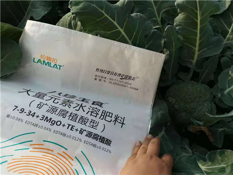 大量元素水溶肥，拉姆拉，翠姆