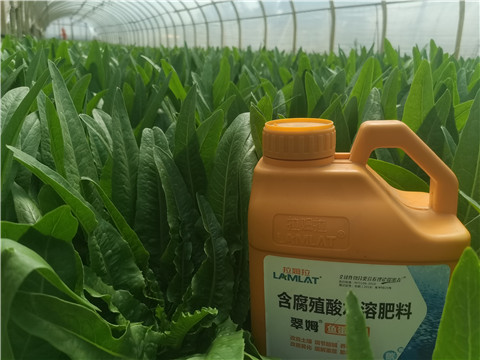 水溶肥，翠姆，拉姆拉