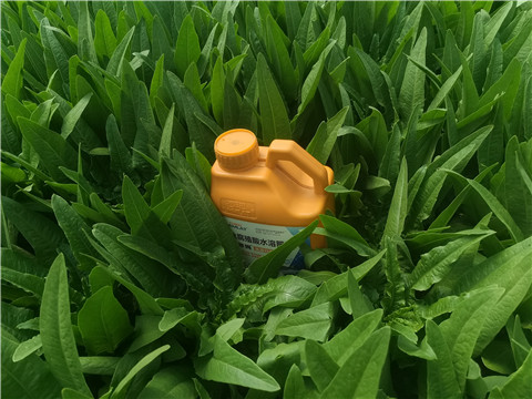 水溶肥，翠姆，拉姆拉