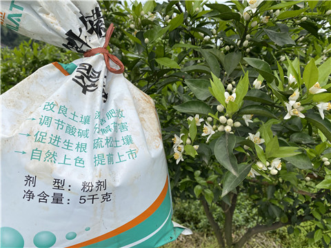 水溶肥，翠姆，拉姆拉
