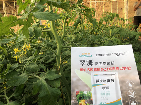 微生物菌劑，翠姆，拉姆拉