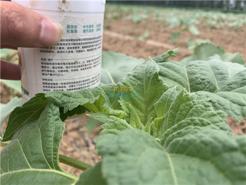 水溶肥，翠姆，拉姆拉