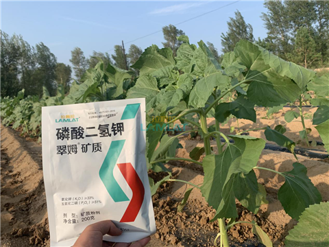 水溶肥，翠姆，拉姆拉