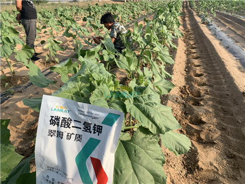 水溶肥，翠姆，拉姆拉