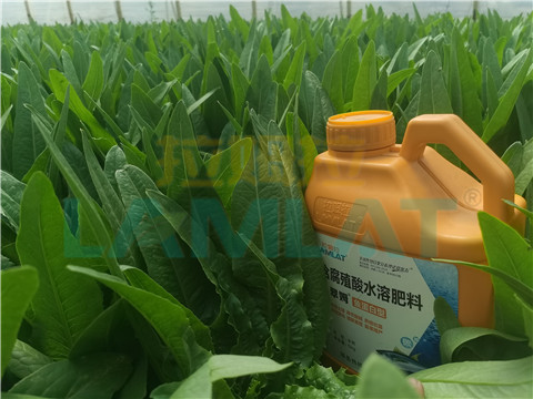 水溶肥，翠姆，拉姆拉
