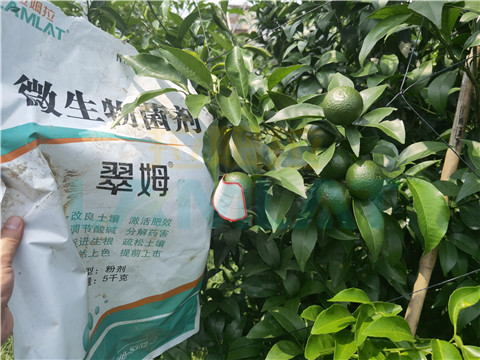 微生物菌劑，翠姆，拉姆拉