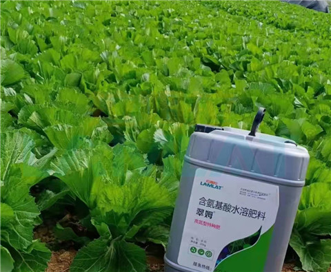 水溶肥，翠姆，拉姆拉