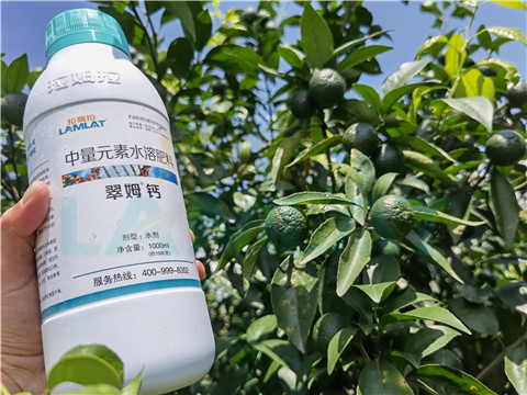 水溶肥，拉姆拉，翠姆