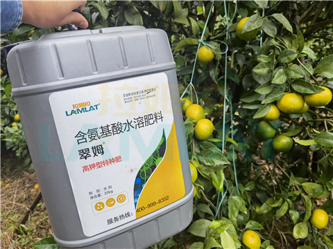 水溶肥，拉姆拉，翠姆