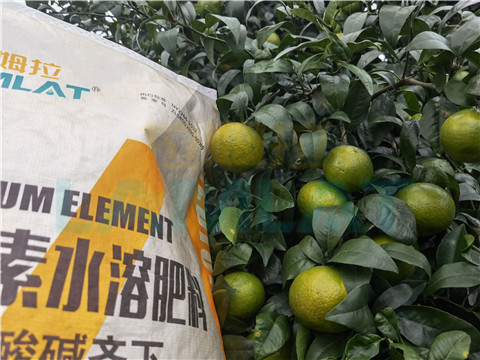 水溶肥，拉姆拉，翠姆