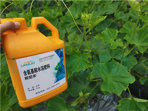 水溶肥，拉姆拉，翠姆