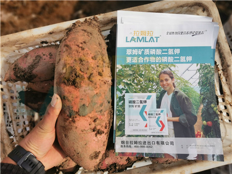 水溶肥，拉姆拉，翠姆