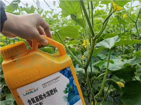 生根劑，拉姆拉，翠姆