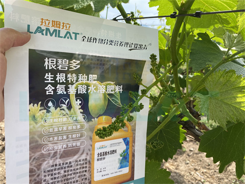 水溶肥，拉姆拉，翠姆