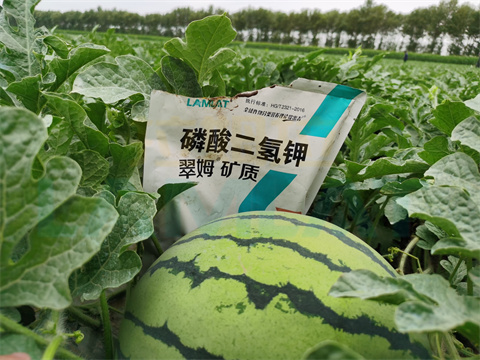 水溶肥，拉姆拉，翠姆
