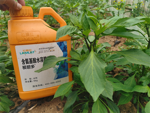 水溶肥，翠姆，拉姆拉