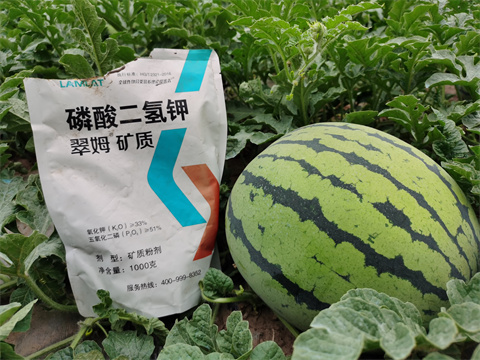 水溶肥，翠姆，拉姆拉