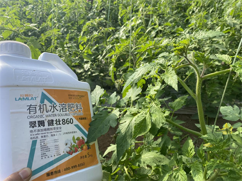 水溶肥廠(chǎng)家,土壤鹽漬化,翠姆水溶肥